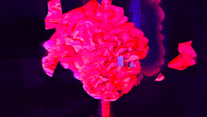 square screenshot for blog post