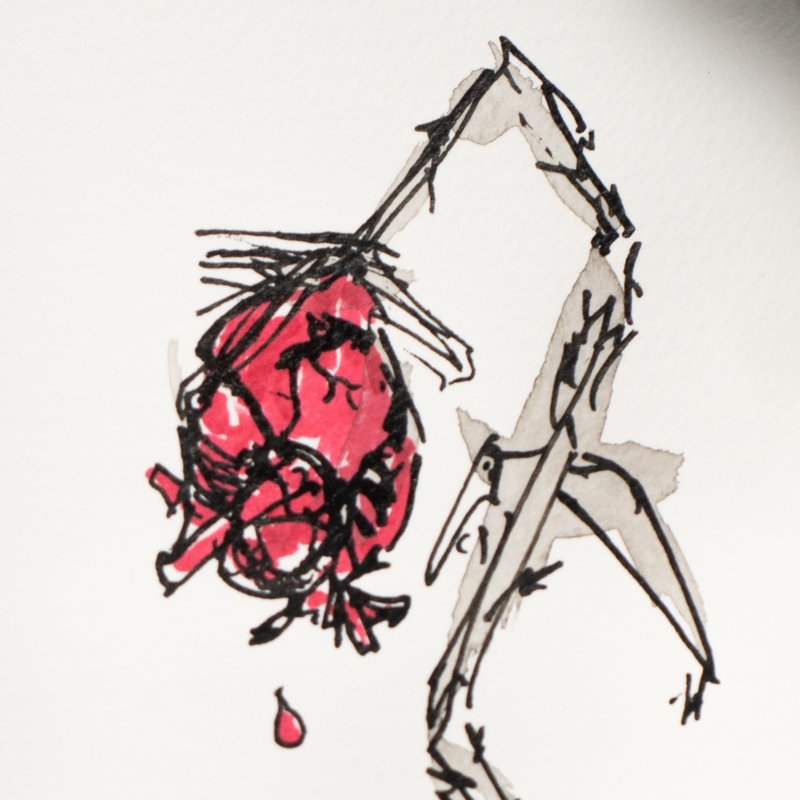 square screenshot for blog post