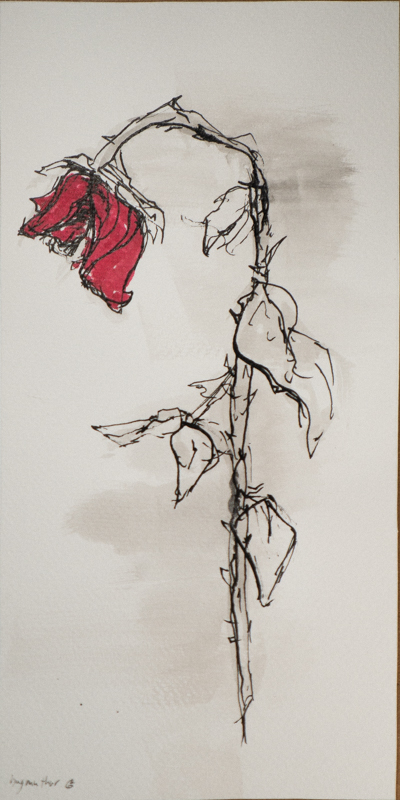 square screenshot for blog post