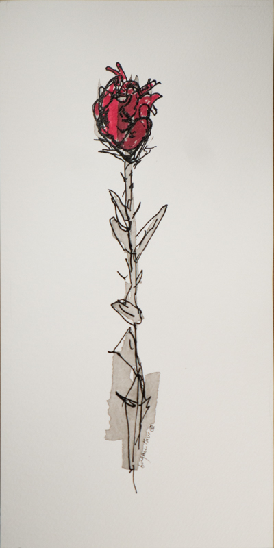 square screenshot for blog post