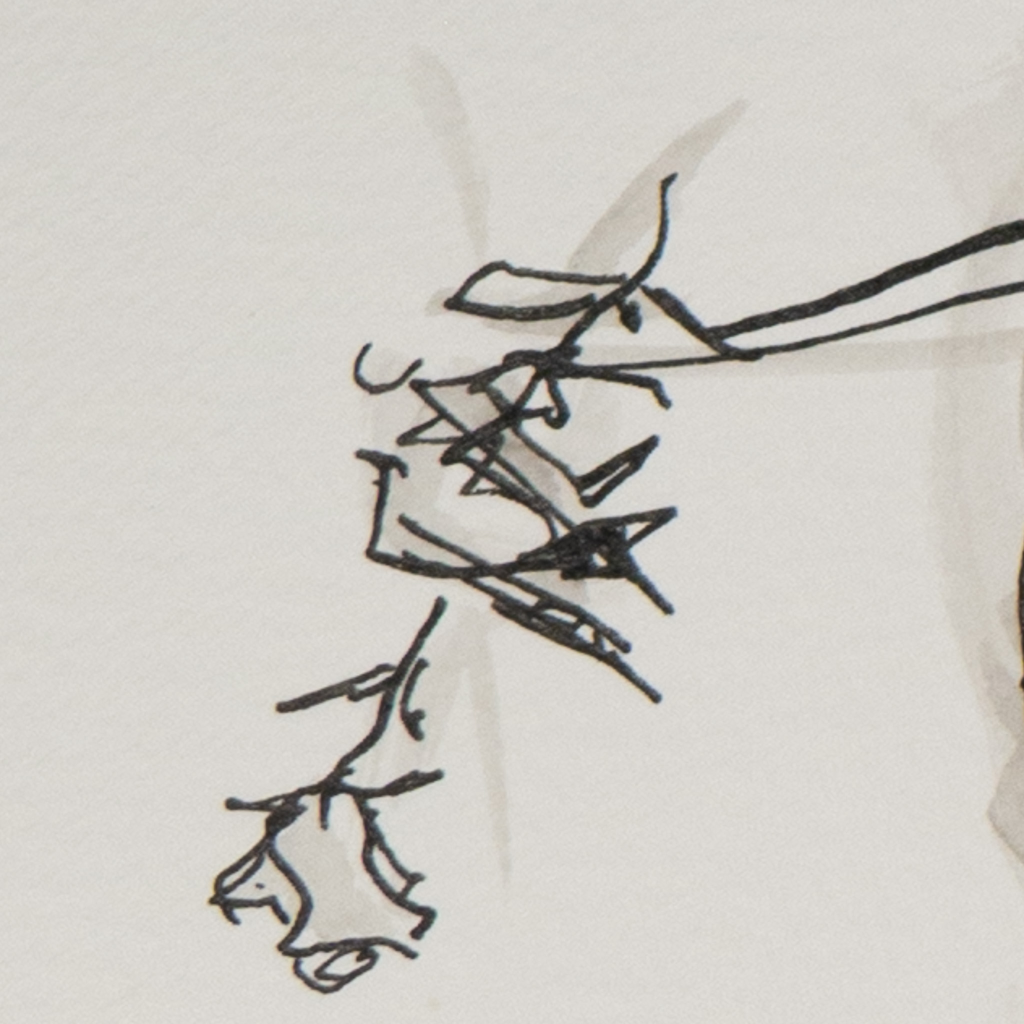 square screenshot for blog post