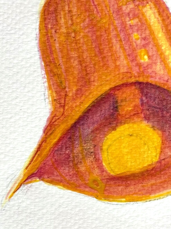 square screenshot for blog post