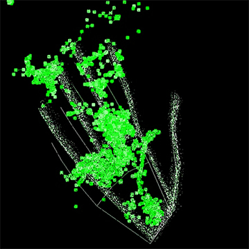 indigo coiyle digital medium doing a palm reading