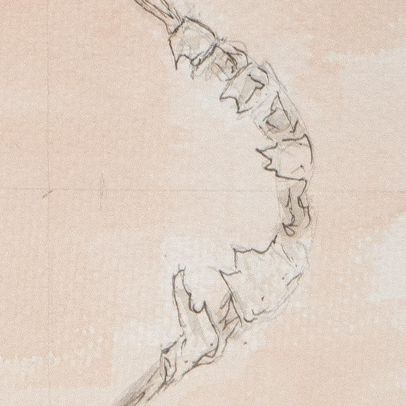 square screenshot for blog post