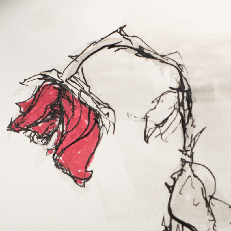 square screenshot for blog post