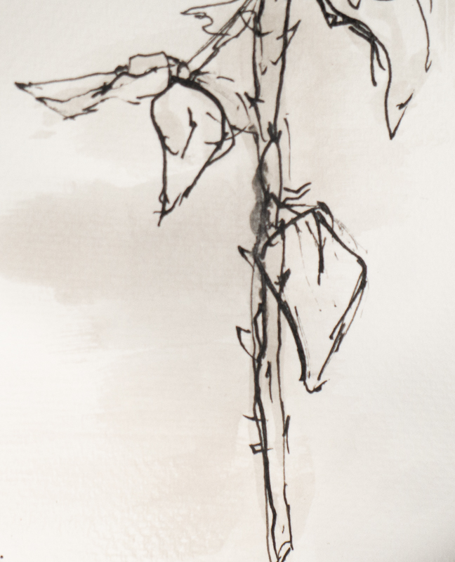 square screenshot for blog post