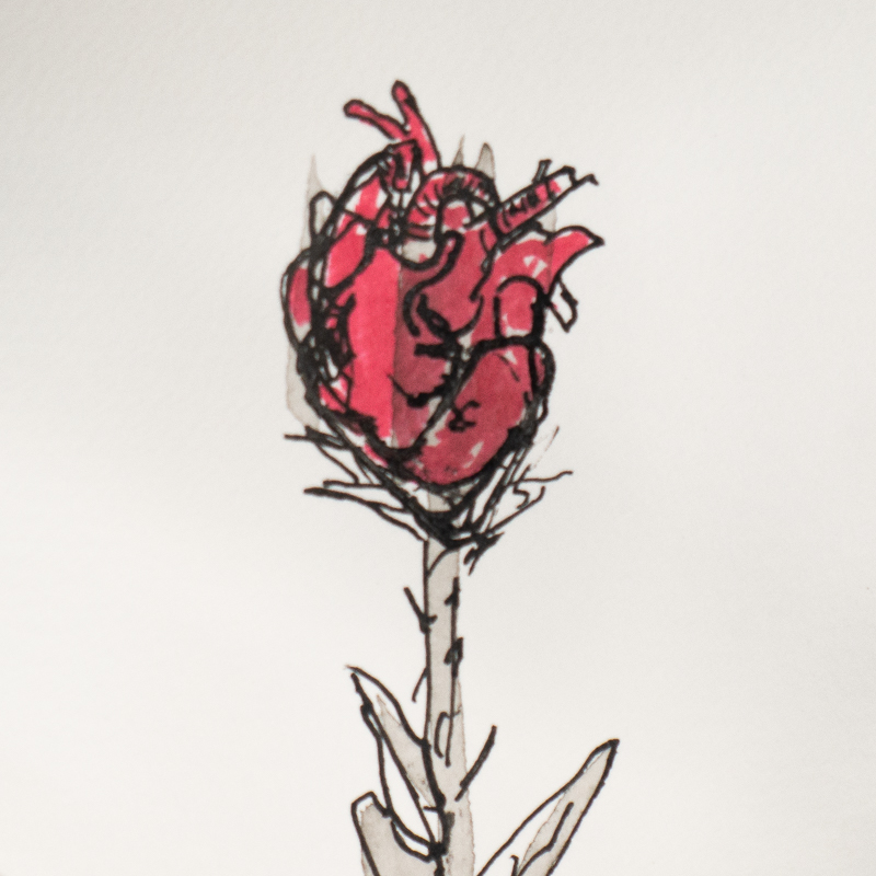 square screenshot for blog post