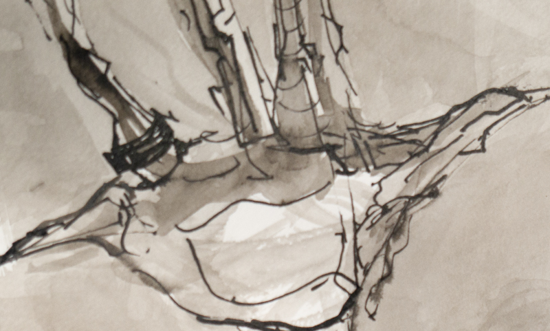 square screenshot for blog post